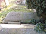 image of grave number 725356